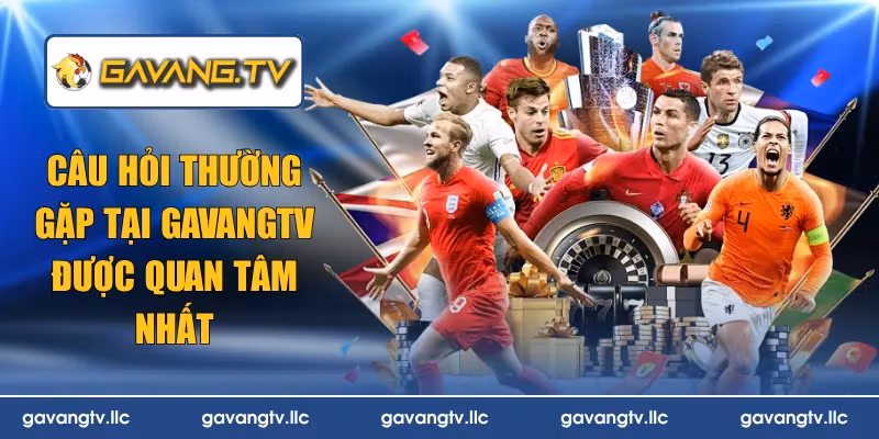 câu hỏi thường gặp