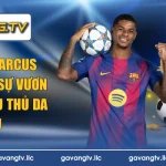 tiểu sử Marcus Rashford